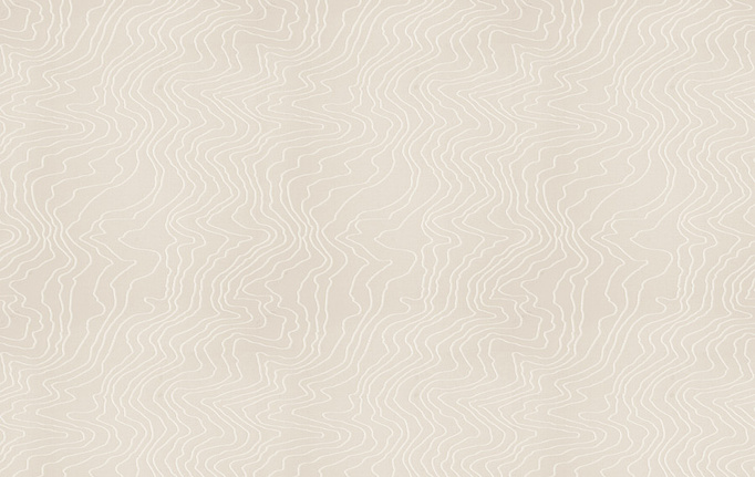 Американская ткань Fabricut, коллекция Modern Nuances Vol.II Oyster, артикул Contour lines/Frost