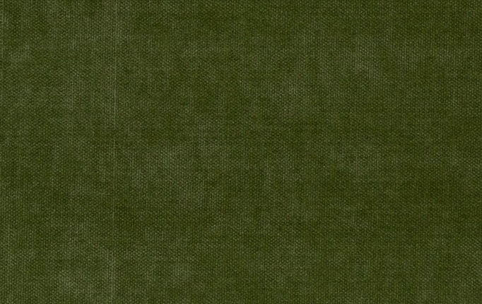 Американская ткань Fabricut, коллекция Solids By Color Seaglass, артикул Amwiler/Leaf