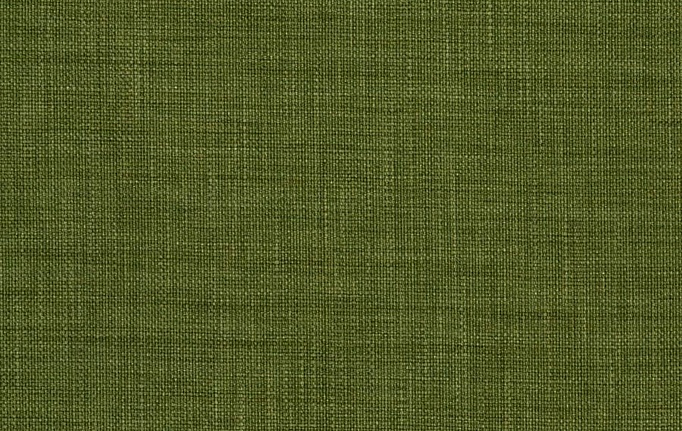 Американская ткань Fabricut, коллекция Solids By Color Seaglass, артикул Zeblin/Olive