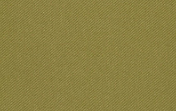 Американская ткань Fabricut, коллекция Solids By Color Seaglass, артикул Aldenshire/Grass