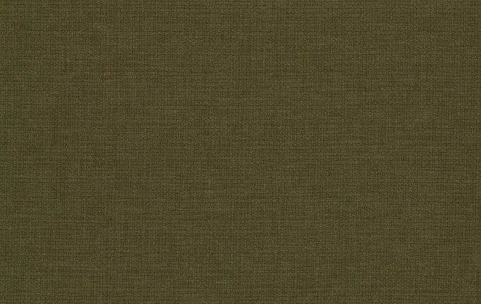 Американская ткань Fabricut, коллекция Solids By Color Seaglass, артикул Shawnee/Olive