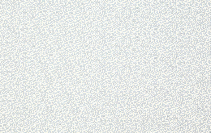 Английская ткань Colefax and Fowler, коллекция Eloise, артикул F4608/04