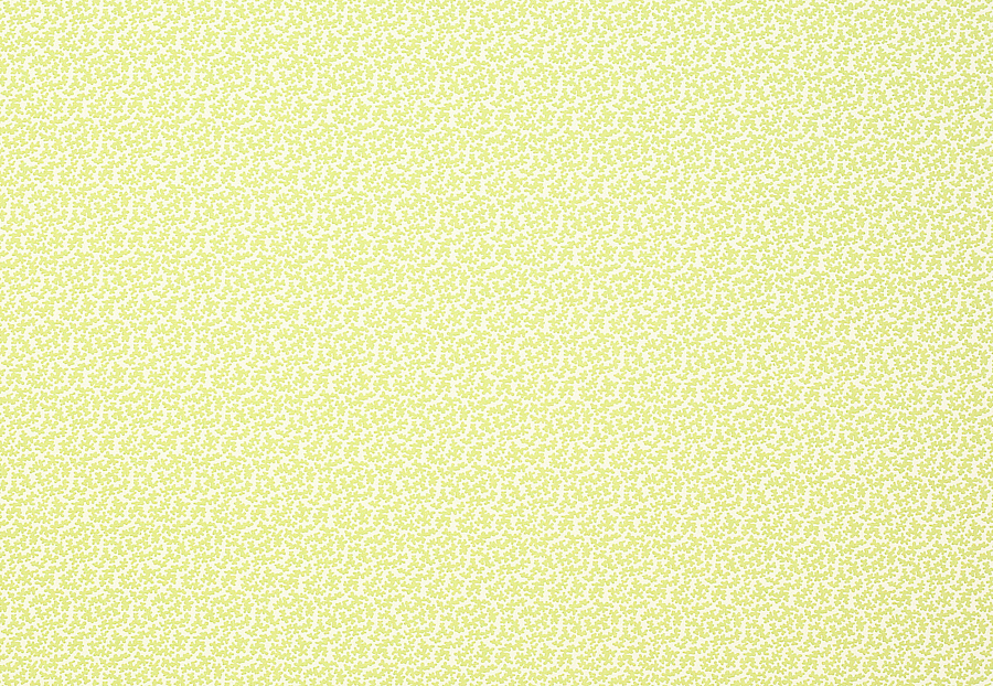 Ткань Colefax and Fowler Eloise F4608/02