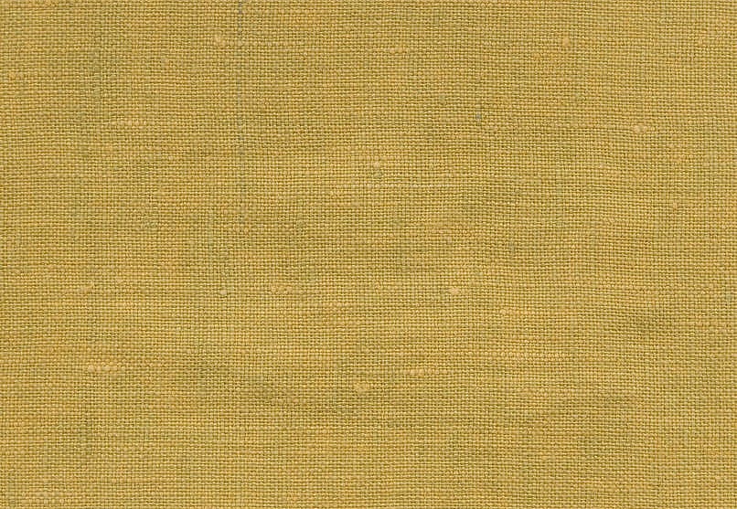 Ткань Pierre Frey Garden Turquoise O7765013