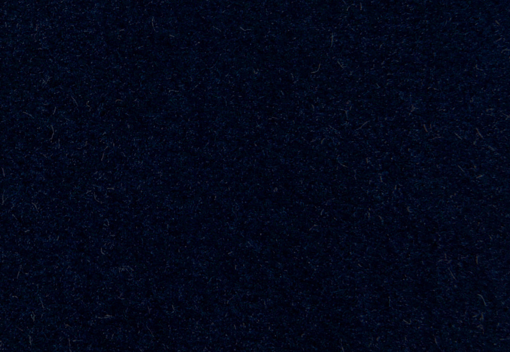Ткань Aldeco Amadeo Siege Velvet/0668