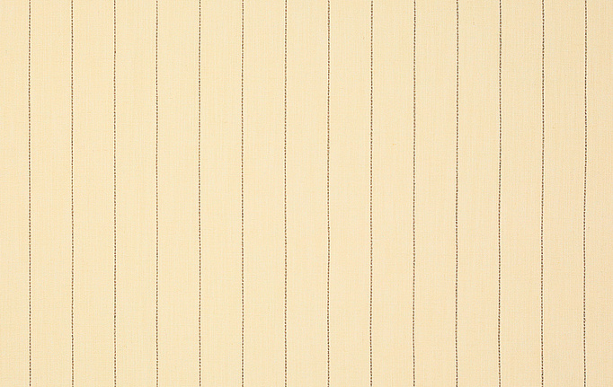 Французская ткань Manuel Canovas, коллекция Ambroise, артикул 04984/01
