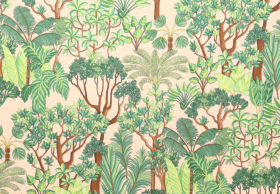 Ткань Manuel Canovas Morny 04968/04