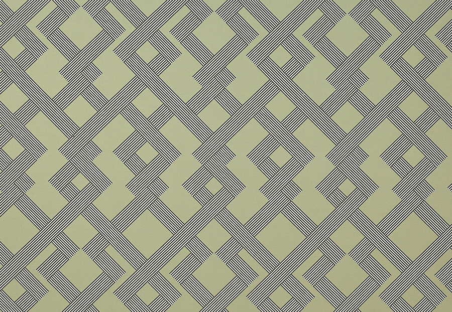 Ткань Manuel Canovas Morny 04970/01