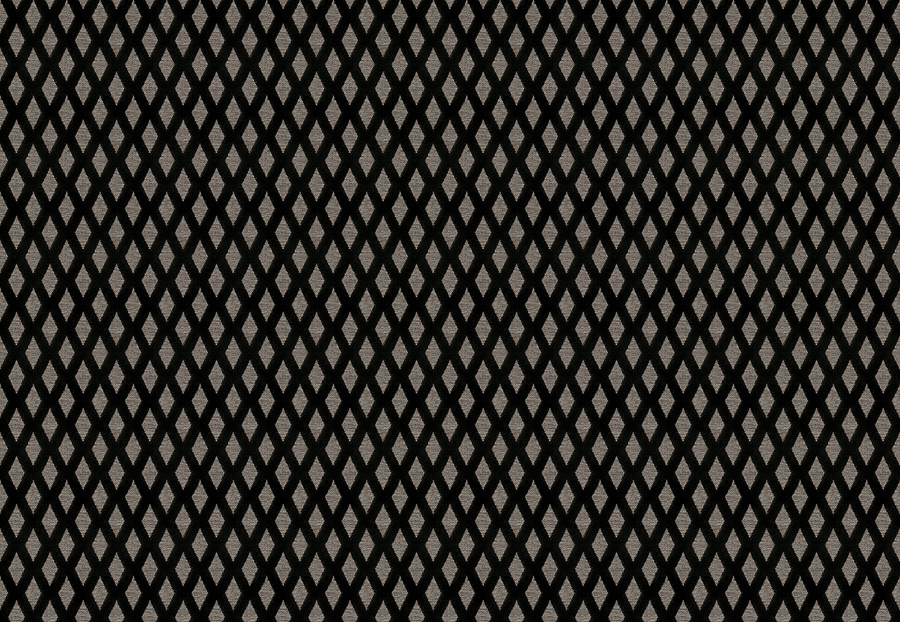 Ткань Stroheim Black And White Parys/Onyx