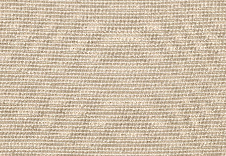 Ткань Stroheim Brushed Metal Sheers Kithira/Silver shell