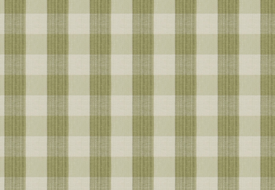Ткань Stroheim Charles Faudree Biron Strie Check Biron strie check/Celery