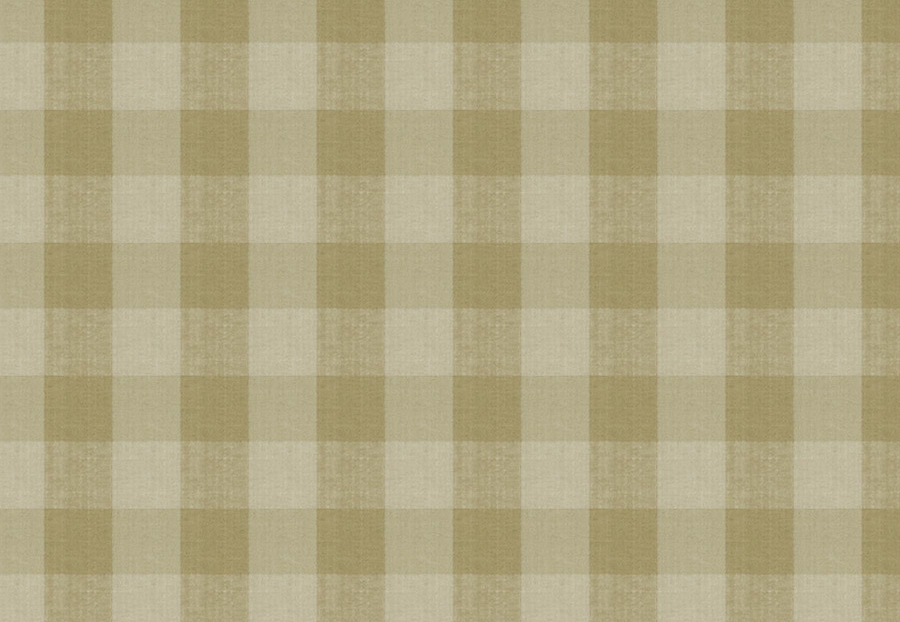 Ткань Stroheim Charles Faudree Biron Strie Check Biron strie check/Bamboo