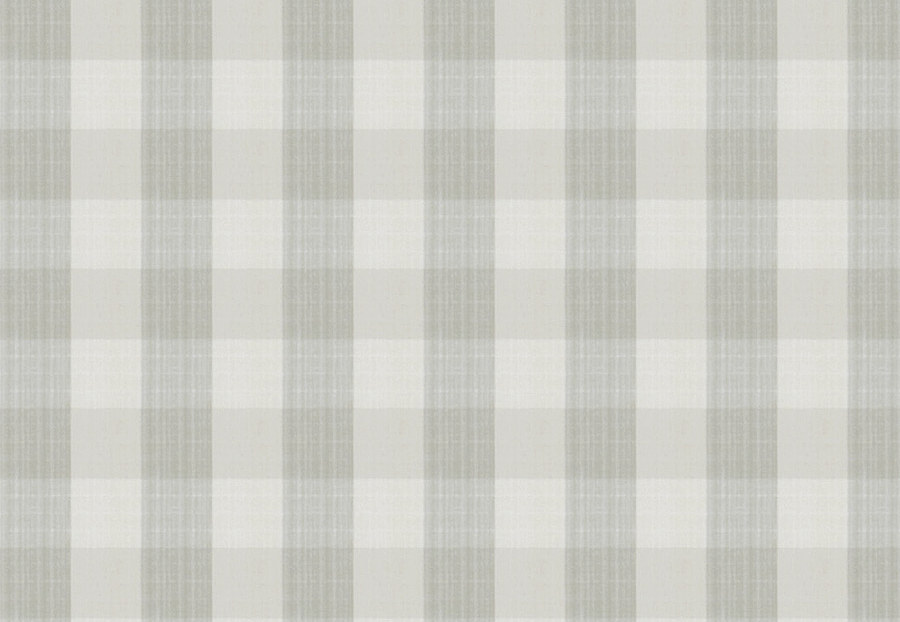 Ткань Stroheim Charles Faudree Biron Strie Check Biron strie check/Fog