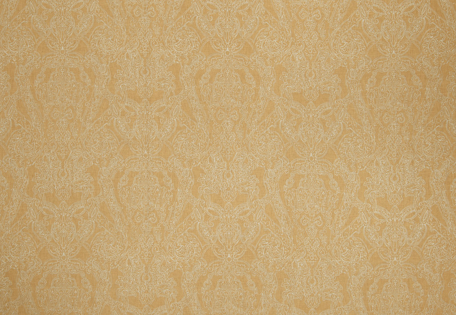 Ткань Stroheim Charles Faudree Prints Chattooga paisley/Dijon