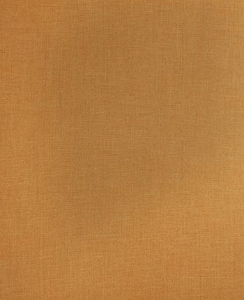 Ткань Stroheim Color Gallery Pumpkin Somerlyn twill/Pumpkin