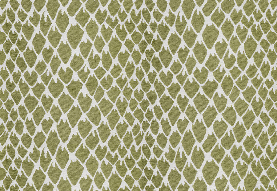 Ткань Stroheim Dana Gibson Blue Green Guinea/Apple