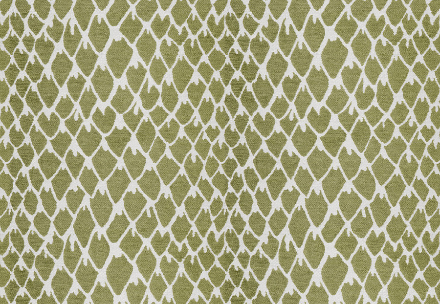 Ткань Stroheim Dana Gibson Blue Green Guinea/Apple