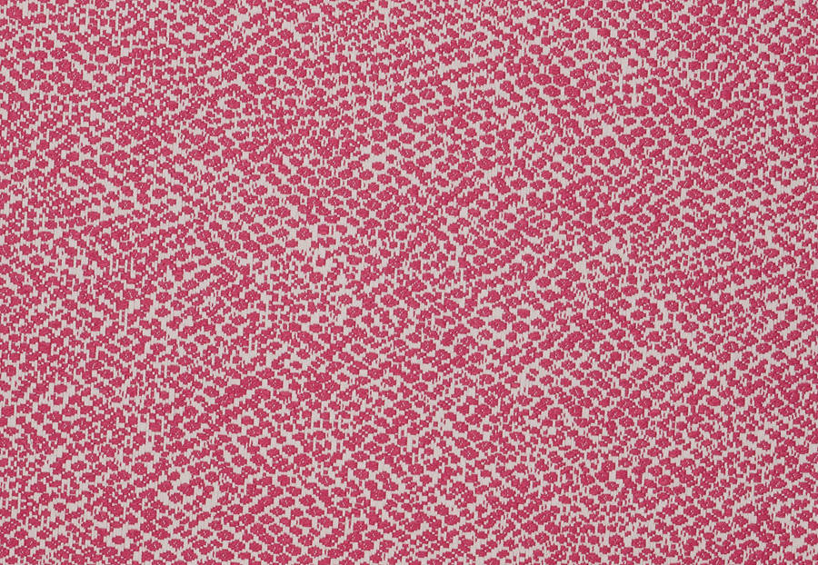 Ткань Stroheim Dana Gibson Coral Pink Dearing/Fuchsia