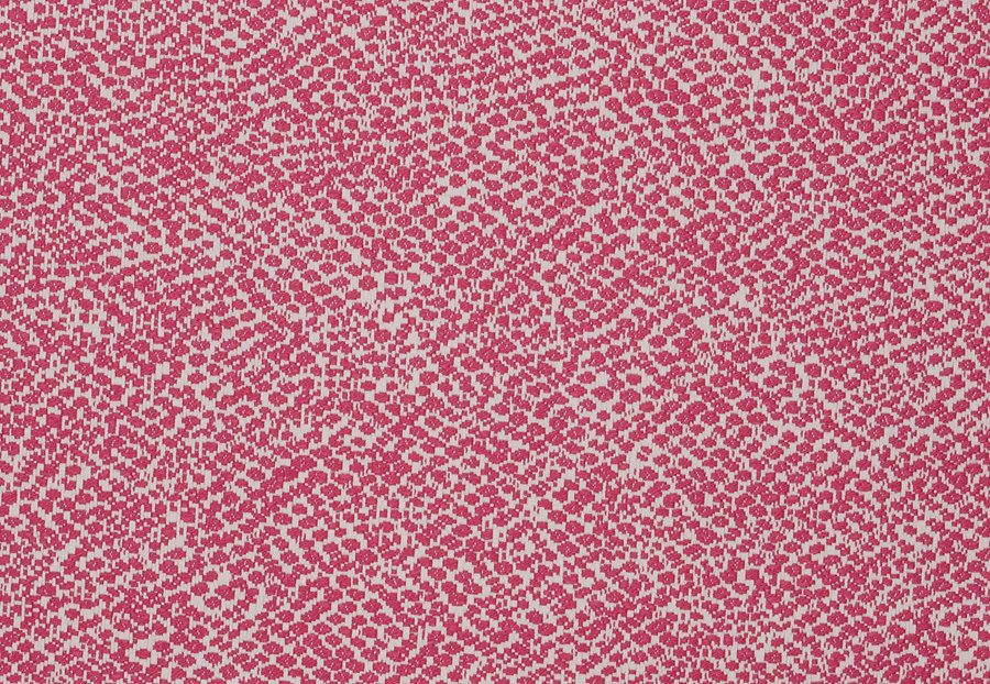 Ткань Stroheim Dana Gibson Coral Pink Dearing/Fuchsia