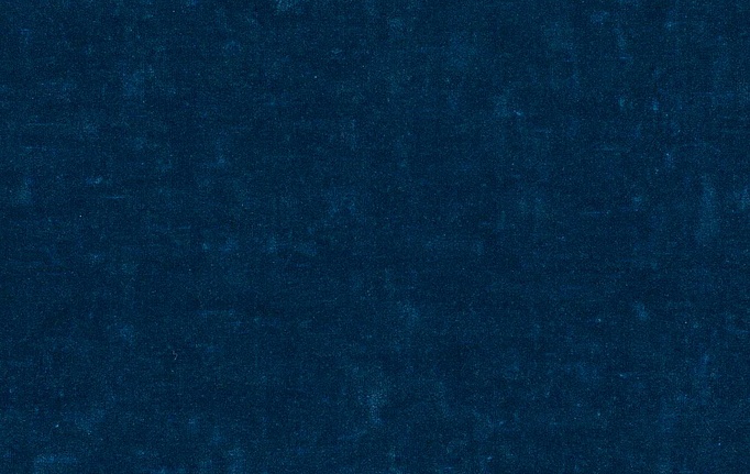 Нидерландская ткань Chivasso, коллекция Carlucci di Chivasso Sensual Velvet, артикул CA1639/052