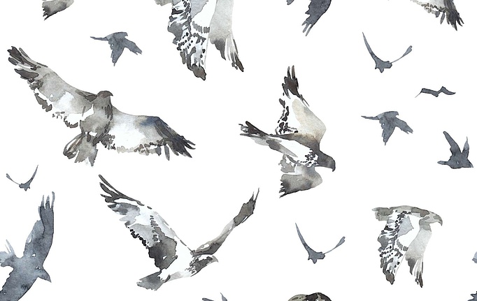 Российская ткань Marufabrics, коллекция Collection 2, артикул Fly