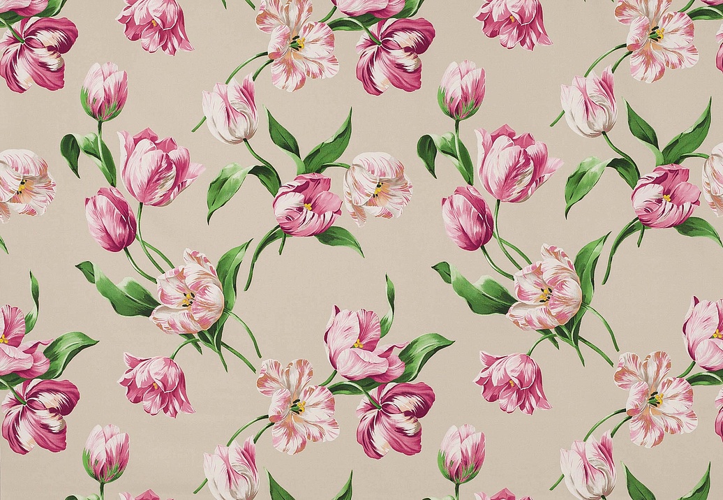 Ткань Manuel Canovas Castellane M4103/01