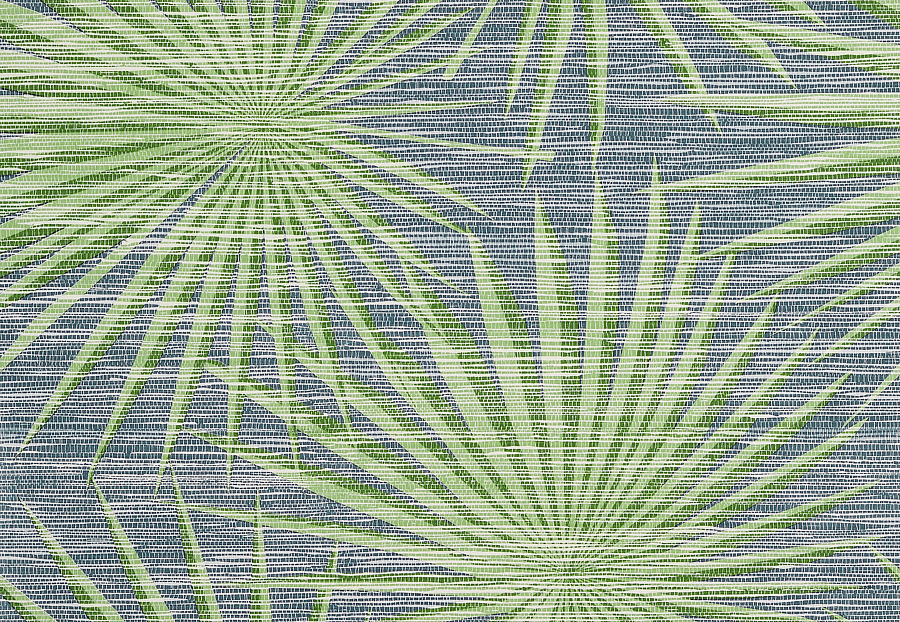 Обои Thibaut Tropics T10141