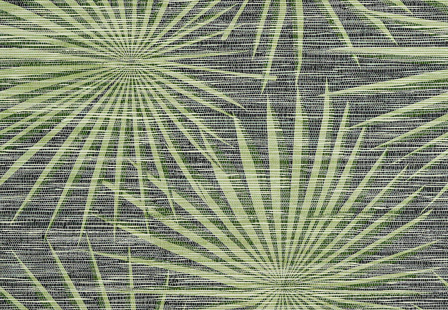 Обои Thibaut Tropics T10143