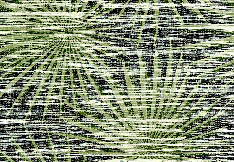 Обои Thibaut Tropics T10143