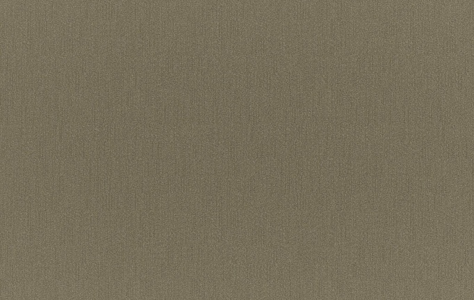 Бельгийская ткань Daylight, коллекция Ida, артикул Lotte/Earth