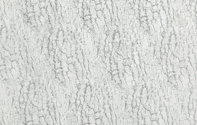 Бельгийская ткань Daylight, коллекция Floris, артикул Floris/Silver