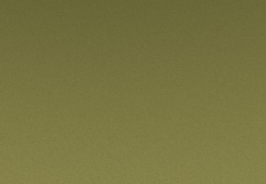 Ткань Daylight Greta Greta/Cactus