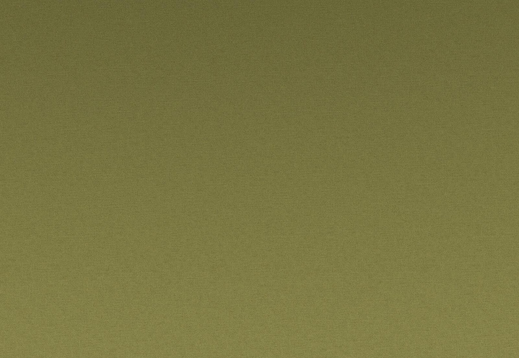 Ткань Daylight Greta Greta/Cactus