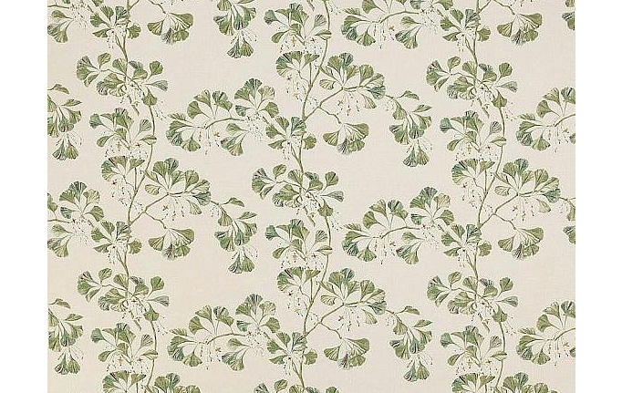 Английская ткань Colefax and Fowler, коллекция Jardine, артикул F4705/01