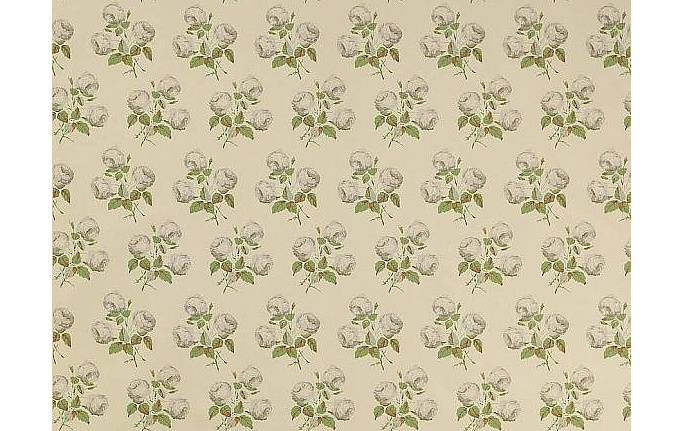Английская ткань Colefax and Fowler, коллекция Jardine, артикул F2328/01