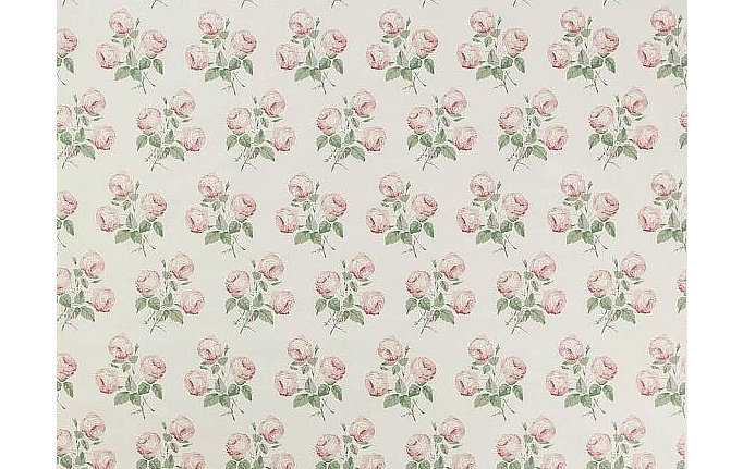 Английская ткань Colefax and Fowler, коллекция Jardine, артикул 01020/04