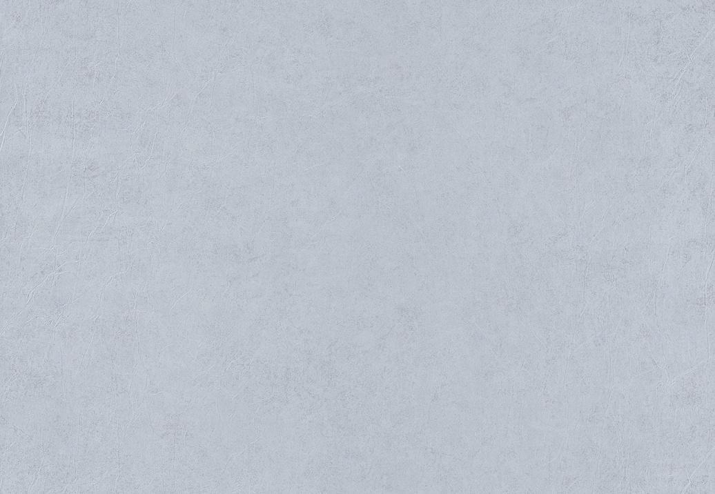 Обои Caselio Sherwood SHW67926000