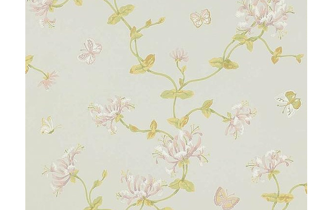 Английские обои Colefax and Fowler, коллекция Jardine Florals, артикул W7002/02