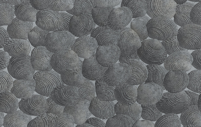 Итальянские панно и фотообои Italreflexes, коллекция Macro, артикул Shell-002/Silver