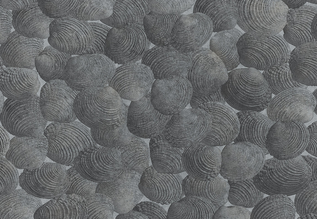 Панно и фотообои Italreflexes Macro Shell-002/Silver