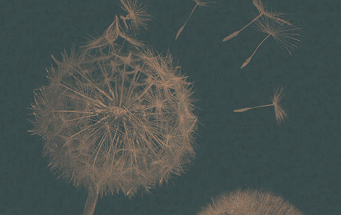 Итальянские панно и фотообои Italreflexes, коллекция Macro, артикул Taraxacum-003/Copper
