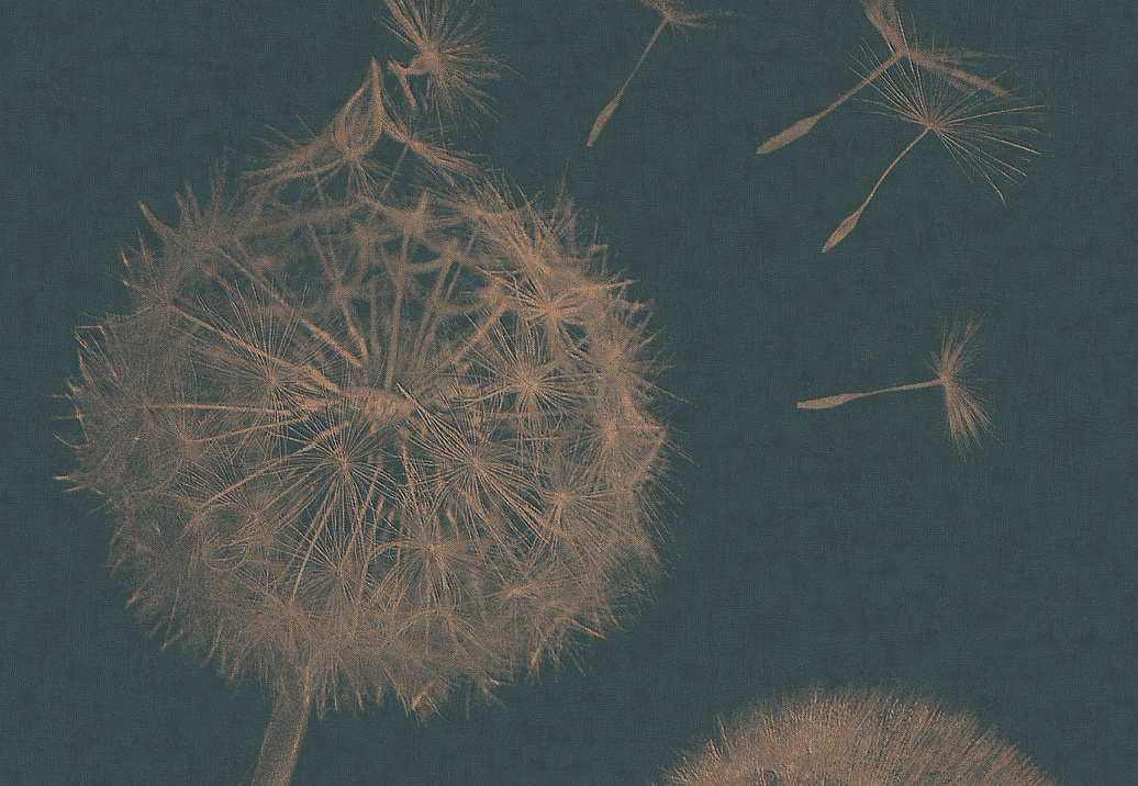 Панно и фотообои Italreflexes Macro Taraxacum-003/Copper