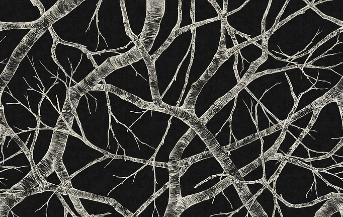 Итальянские панно и фотообои Italreflexes, коллекция Macro, артикул Silver Birch-008/Slate