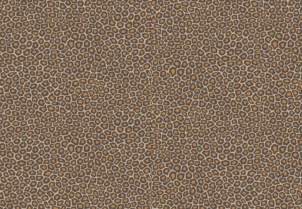 Обои Cole & Son The Ardmore Collection 109/6027