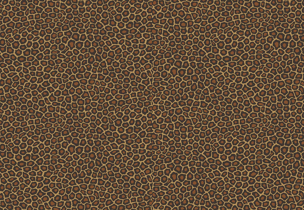 Обои Cole & Son The Ardmore Collection 109/6028