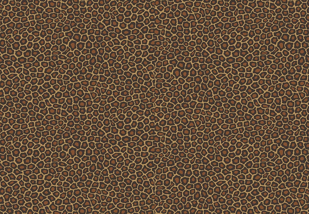 Обои Cole & Son The Ardmore Collection 109/6028