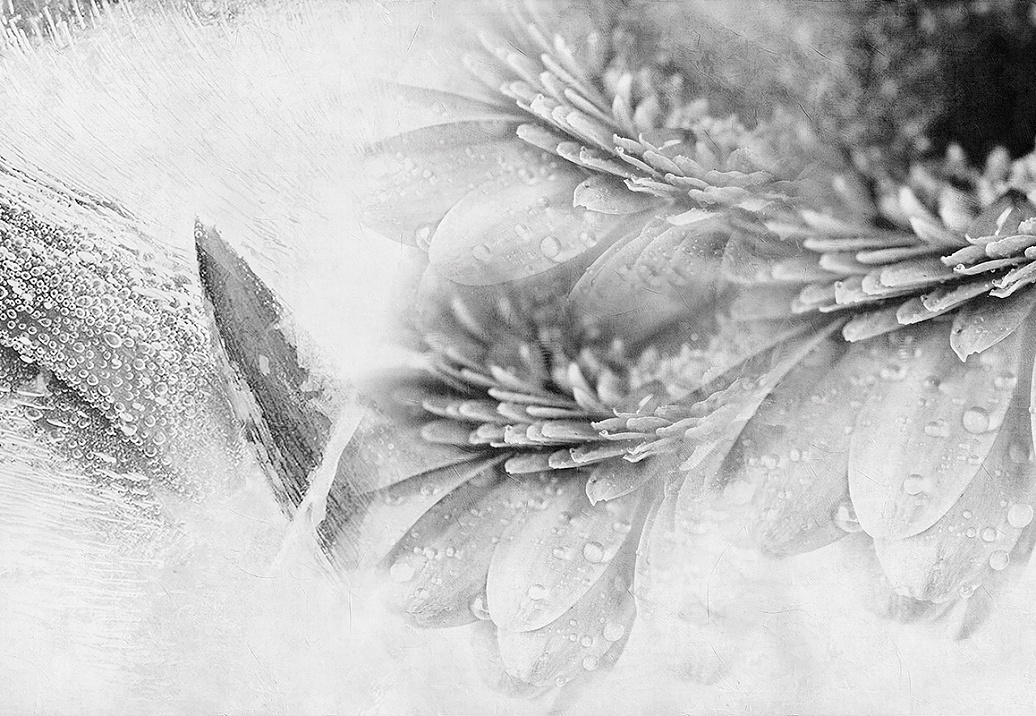 Панно и фотообои Inkiostro Bianco Creative Thinking INKKKCR1403