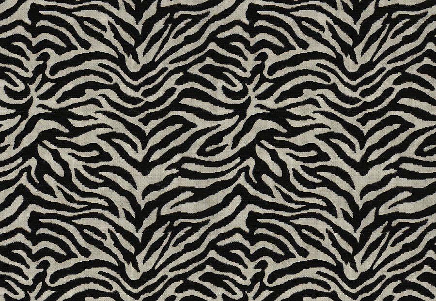 Ткань Fabricut Chromatics Vol.XXVI Quarry ZebraTailed/Domino