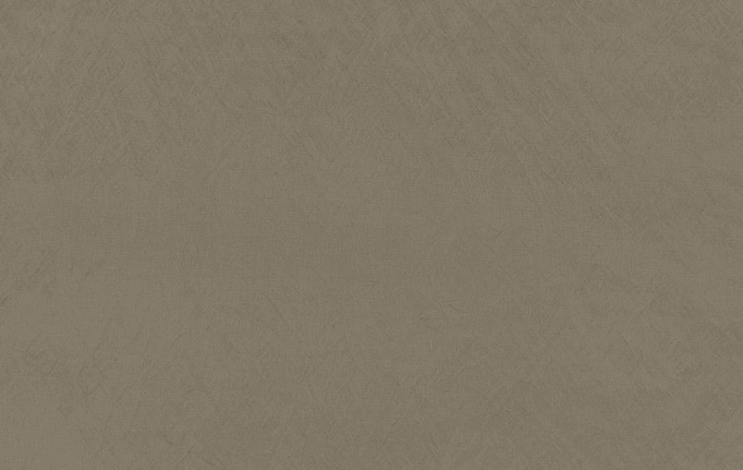 Английская ткань Zinc, коллекция Elliott, артикул Z594/07