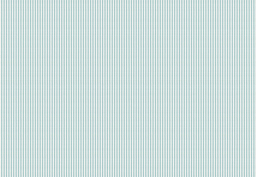 Ткань Fabricut Clean & Classic Indoor/Outdoor Checks & Stripes HikingTicking/Aquamarine